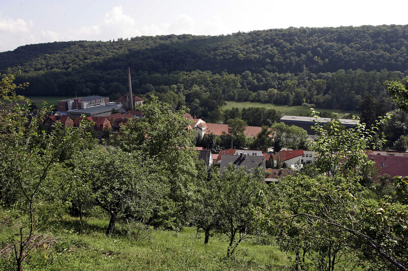Obstgarten und Wald in der mitte Dächer