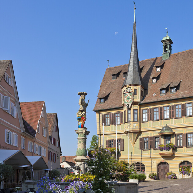 Marktplatz mit Rathaus, Marktbrunnen und Fachwerkhäusern