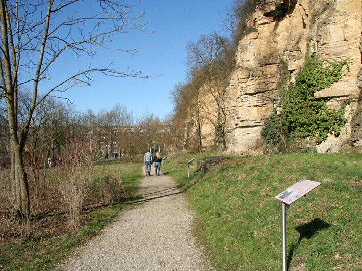 Lehrpfad mit Lehrtafeln vor einer Steinwand
