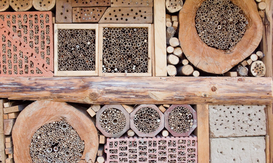 Bauen eines Insektenhotels