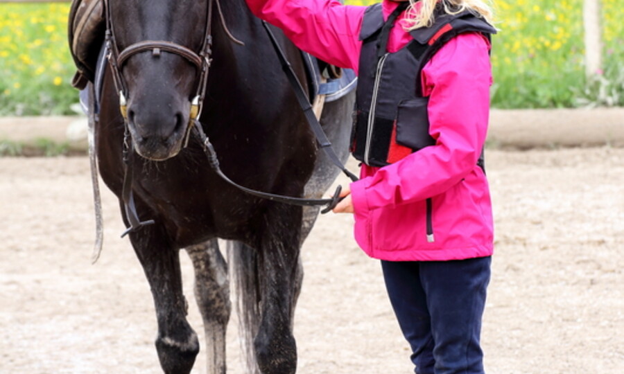 Reiten, Ponyzeit und echtes Stallabenteuer
