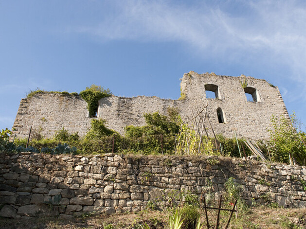 Burg-Ruine auf einem Weinberg