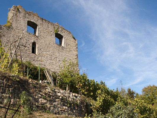 Ruin of the castle, picture 2
