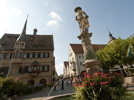Fachwerkhaus mit Turm und Uhr hinter einem Brunnen mit Blumen  