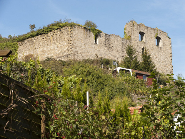 Ruine Burg der Herren von Sachsenheim (Untermberg)