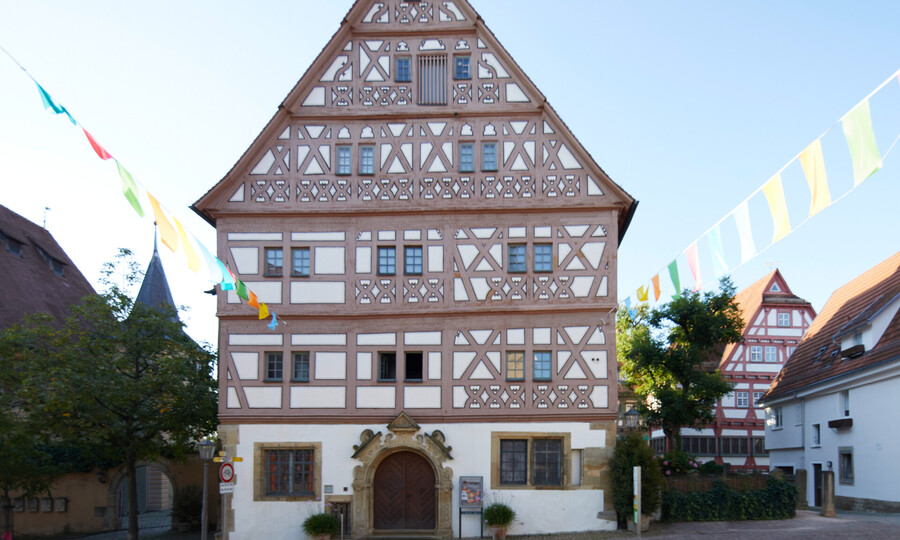 Fledermausnacht im Museum
