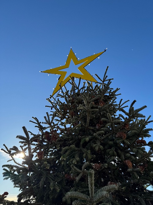 Detailbild:
