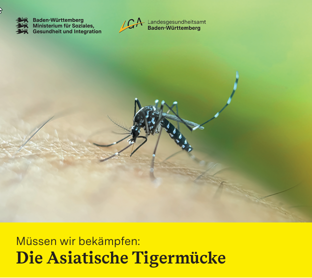 Detailbild: