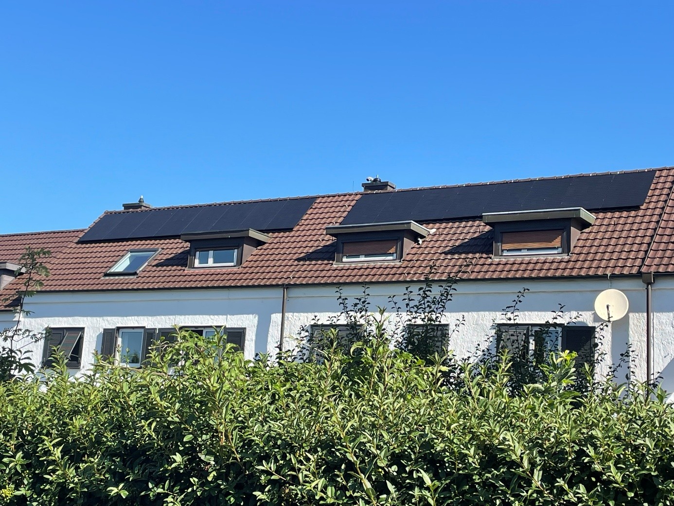 Detailbild: 